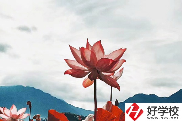 隆回華星職業(yè)技術(shù)學(xué)校有哪些專業(yè)？值得學(xué)生報(bào)考么？