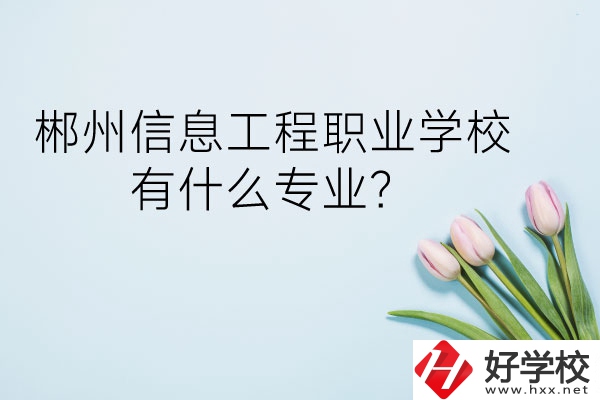 郴州信息工程職業(yè)學(xué)校有什么專業(yè)？