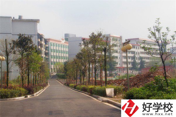 益陽有哪些高級(jí)技校？學(xué)校有什么亮點(diǎn)？
