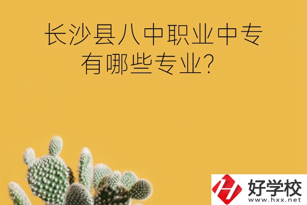 長沙縣八中職業(yè)中專好不好？有哪些專業(yè)？