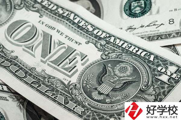 湖南的技校學(xué)費(fèi)貴嗎？有哪些補(bǔ)貼政策？