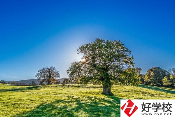 湘西旅游學(xué)校是一所怎樣的中專？