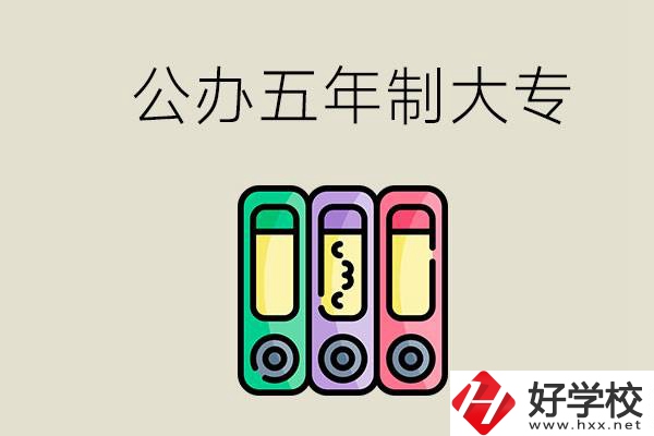 岳陽有什么公辦的五年制大專學(xué)校？讀了有用嗎？