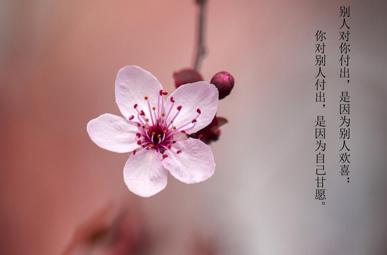 四平中考200-300分能讀什么學(xué)校