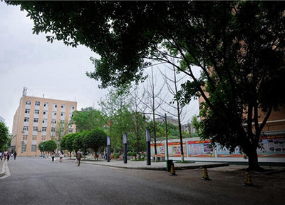 西寧衛(wèi)生職業(yè)技術(shù)學校學費
