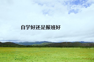 自學(xué)好還是報班好