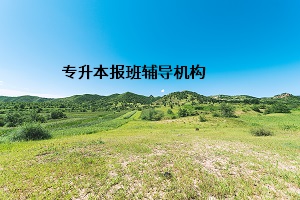 專升本報(bào)班輔導(dǎo)機(jī)構(gòu)