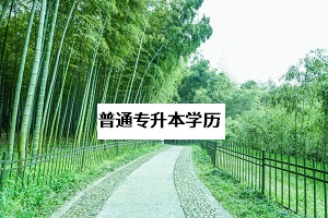 普通專升本學(xué)歷含金量高嗎？普通專升本學(xué)歷和本科一樣嗎？