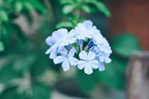 擴(kuò)招后報(bào)考人數(shù)是否會(huì)激增？