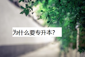 為什么要專升本？