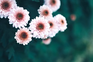 非全日制專升本的第一學歷是本科嗎？