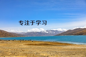 專注于學習