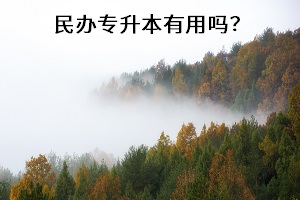 民辦專升本有用嗎？