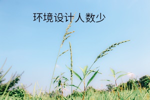 環(huán)境設計人數(shù)少