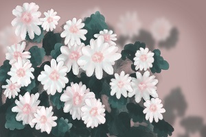 能否報考？
