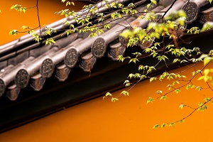 普通專升本備考的第一步是先擇校還是先選專業(yè)？