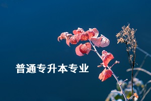 荊楚理工學院專升本的專業(yè)有哪些？專業(yè)考試難不難？