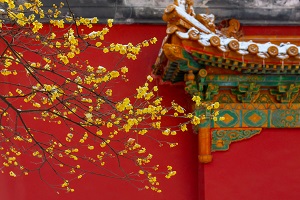 全日制普通專升本和本科有區(qū)別嗎？哪些地方是不同的？