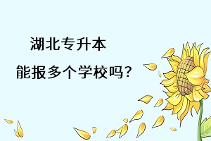 湖北專升本能報(bào)多個(gè)學(xué)習(xí)嗎？