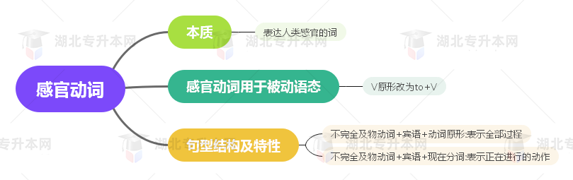 普通專升本英語要掌握多少種語法？25張思維導(dǎo)圖教會(huì)你！